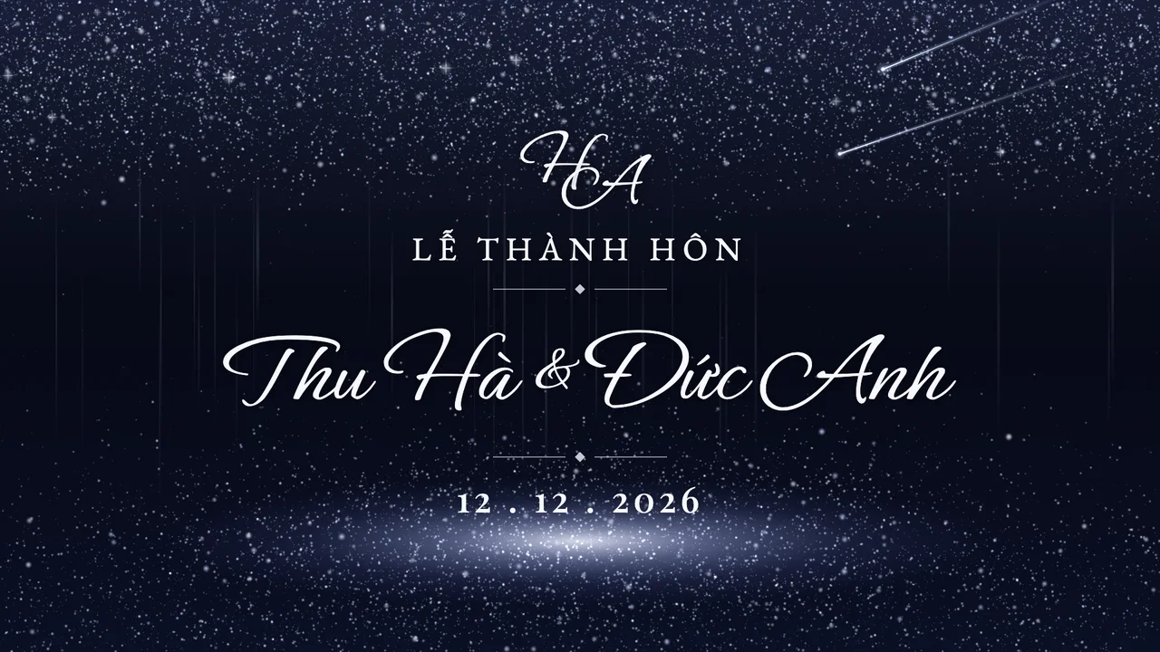 Màn hình LED tiệc cưới hiệu ứng Đêm sao băng của ZenMotion