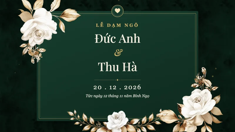 Mẫu video dạm ngõ Hoàng kim lục của ZenMotion
