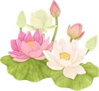 Họa tiết trang trí