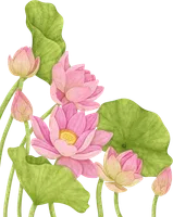 Họa tiết trang trí