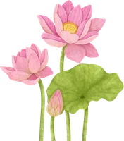 Họa tiết trang trí